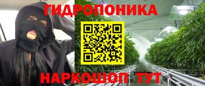 соль ск Дубна