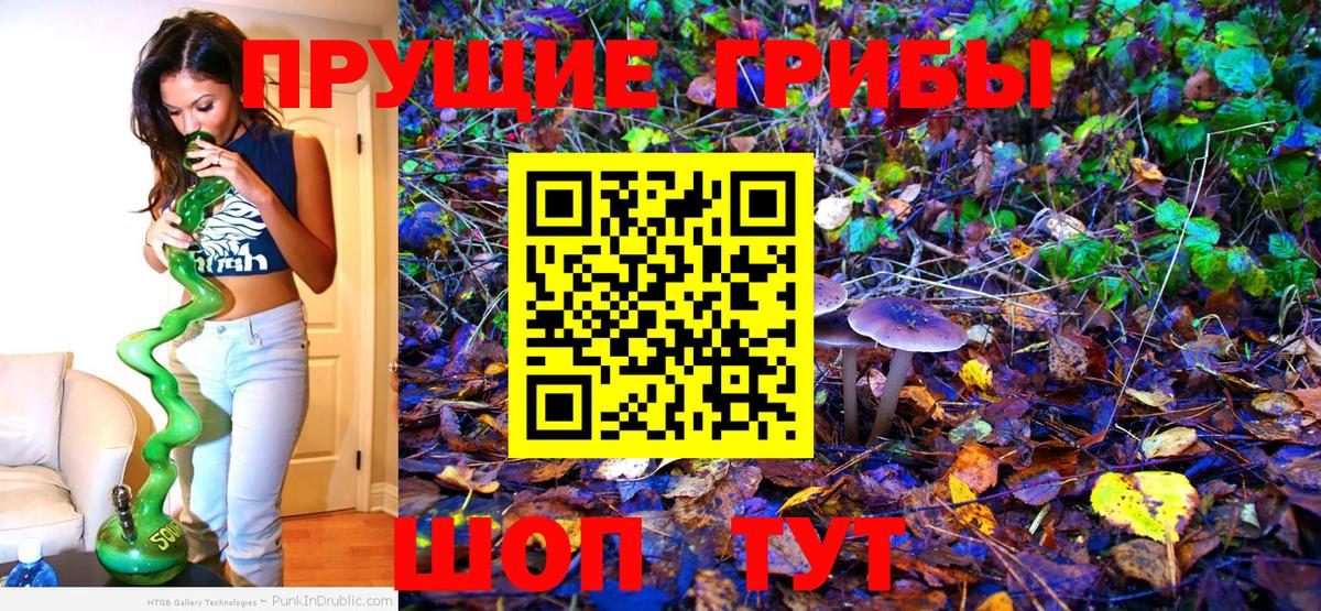 Ликино-Дулёво  Псилоцибиновые грибы Psilocybe  Галлюциногенные грибы прущие грибы  Вход с VPN 